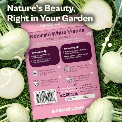 SVI 750 Early White Vienna Kohlrabi Heirloom Seeds Brassica oleracea - Image 2
