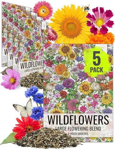 Seed Needs Wildflower Seeds Large Blooms Mix 5 Bulk Packs (1 Ounce Each) by SeedNeeds