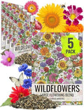 Seed Needs Wildflower Seeds Large Blooms Mix 5 Bulk Packs (1 Ounce Each) by SeedNeeds