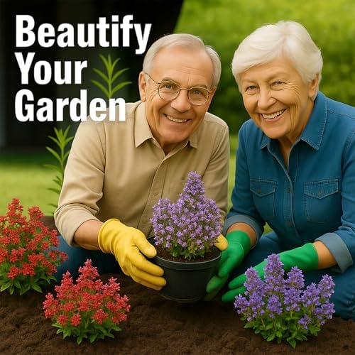 32000+ Mix Creeping Thyme Seeds, Ground Cover for Lawns & Gardens - Image 2