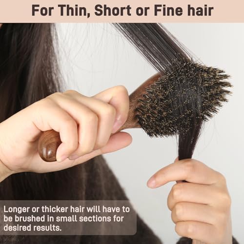 BESTOOL Hair Brush,Natural Walnut Wood & Boar Bristle Hair Brushes for Women Men and Kids to Enhance Shine and Texture,Slick Back Hairbrush for Thin,Fine and Medium Hair - Image 4