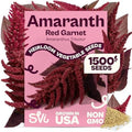 SVI 1500 Red Garnet Amaranth Seeds (Amaranthus Tricolor) – Josephs Coat Plant Seed Packets Bulk, Deep Red Amaranthus Flower – Heirloom Vegetable Seeds for Outdoor Garden, Vegetable Garden, Containers by SVI