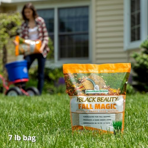 Jonathan Green Black Beauty Fall Magic Grass Seed - 7 lb - Image 3