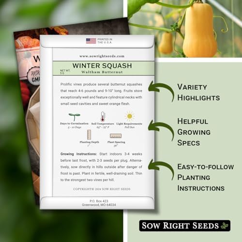 Sow Right Seeds - Waltham Butternut Squash Seed for Planting Outdoors - Image 2