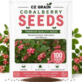 Coralberry Bush Seeds for Planting | 100 Seeds | Pink Berry Native Shrub by CZGrain