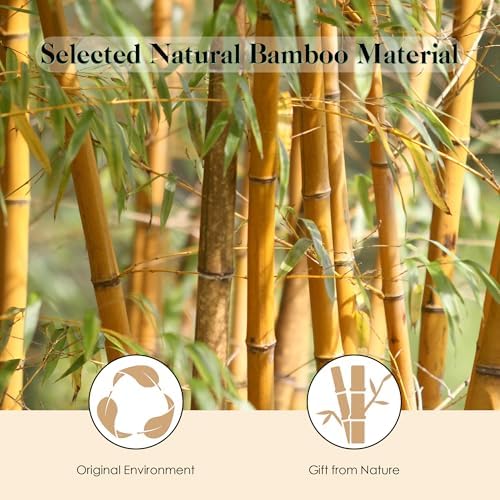 GAINWELL Hair Brush for Hair Growth, Bamboo Bristles Detangling Wooden Paddle Hair Brush for Massaging Scalp, All Hair Types Women Men Kids, Ergonomic Handle, Pointed Bristle - Image 4