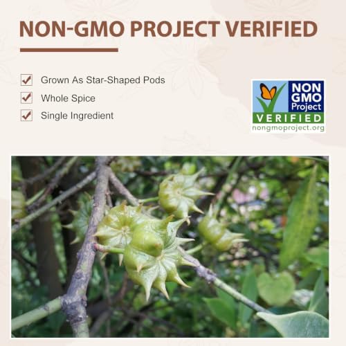 Soeos Star Anise, Star Anise Whole, Anise Seeds, NON-GMO Verified，16 Ounce - Image 3