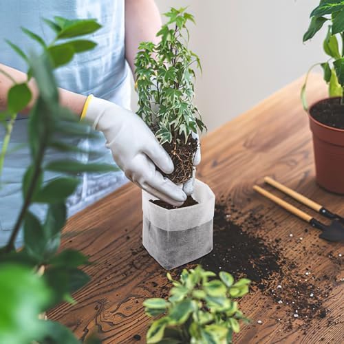 Augshy Nursery Growing Bags, 200Pcs Plant Grow Bags Non-Woven Fabric Seedling Pots Seedling Bag for Planting Seed Starting Pots Pouches for Vegetable Flower Fruit Saplings Tree (5.9" x 6.3") - Image 5
