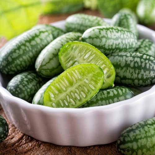 60 Cucamelon Vegetable Heirloom Seeds, Melothria Scabra by KVITER