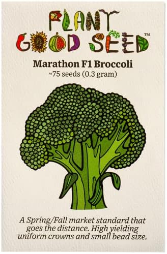 Marathon F1 Broccoli Seeds for Planting: 75 Count by ThePlantGoodSeedCompany
