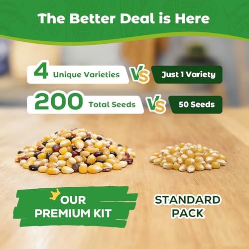 4 Corn Seeds Variety Pack - 200+ Heirloom Corn Seeds for Planting Outdoor, Includes Sweet Corn, Golden Bantam,Silver Queen & Glass Gem Corn, Perfect Home Garden Gift for Beginners, Mom, Her - Image 3