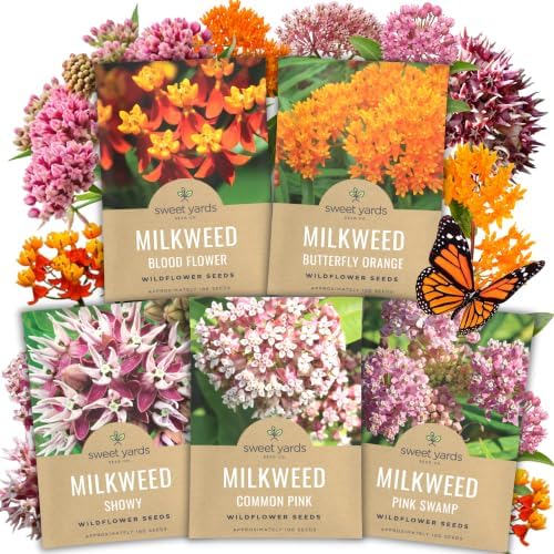 Milkweed Seed Variety Pack | 5 Individual Packs - 2026 Season - Showy, Pink Swamp, Butterfly Orange, Common Pink, Blood Flower | for Planting | by Sweet Yards by SweetYards