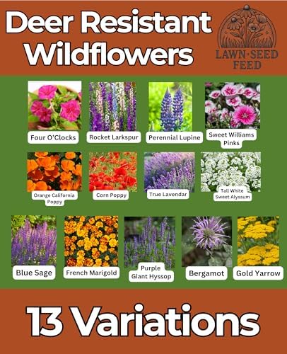 Deer Resistant Wildflower Seeds (2oz) Hardy Garden Flowers Designed to Deter Deer & Support Pollinators - Image 2