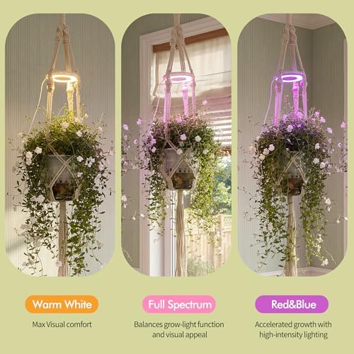 2 Pack Hanging Plant Grow Lights for Indoor Plants with Timer, Wall Mounted Full Spectrum Pendant Growing Light with Macrame Plant Hanger, Ceiling LED Planta Luz for Potted Plants Home Decor - Image 3