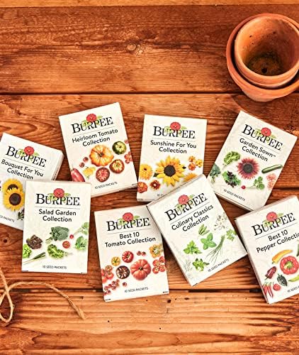 Burpee Culinary Classics Garden Collection 10 Packets of Non-GMO Chives, Cilantro, Basil, Sage, Thyme, Dill, Parsley, Chamomile, Marjoram & Oregano | Kitchen Herb Variety Pack, Seeds for Planting - Image 6