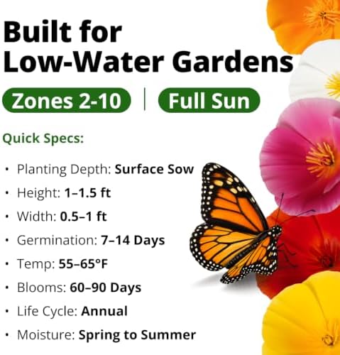 HOME GROWN Formula Mix California Poppy Seeds, 2,000 Seeds - Image 3