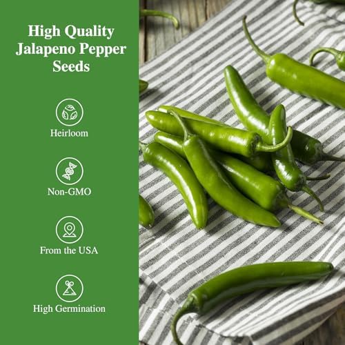 100+ Jalapeno Pepper Seeds for Planting, Non-GMO Heirloom Vegetable Seed - Image 2