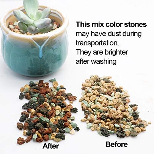 Mix Horticultural Lava Pebbles Pumice Potting Soil Amendment Succulent Cactus Bonsai Gritty Rock Decorative Gravel Plant Drainage Volcanic Rock for Terrarium Fairy Gardening Top Dressing 2.2lb - Image 2