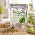 1 lb Salad Style Bean Sprout Starter Seeds - 46 Servings per Bag! - Non-GMO Organic - Sprouting Mix - Includes Alfalfa, Broccoli, Radish, Mung, and Green Lentil by FreedomFarms