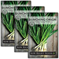 Sow Right Seeds - Tokyo Long White Bunching Onion Seed for Planting 3pk by SowRightSeeds
