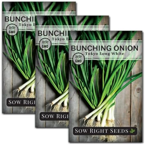 Sow Right Seeds - Tokyo Long White Bunching Onion Seed for Planting 3pk by SowRightSeeds