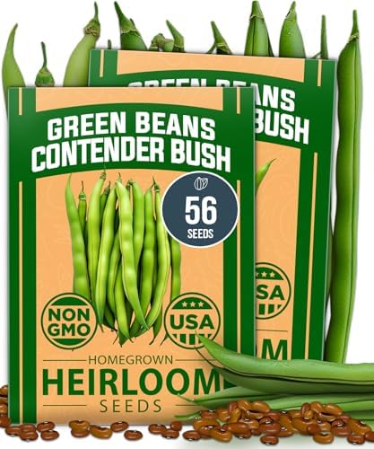 HOME GROWN Contender Bush Bean Seeds, 56+ Seeds, Phaseolus vulgaris by HOMEGROWN