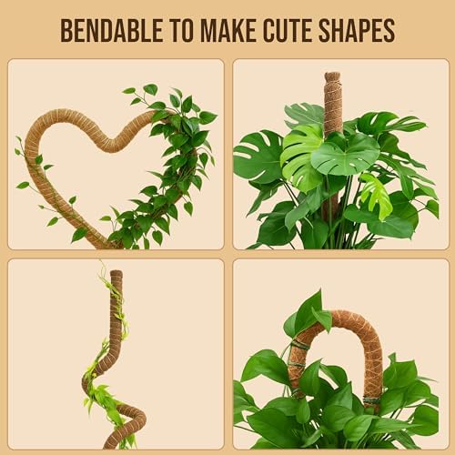 Moss Pole Monstera Plant Support, 2 Pack 48in Bendable Indoor Plant Stakes - Image 6