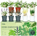 10 Indoor Herb Garden Kit, 33-Piece Complete Kitchen Herb Starter Set by LYKO