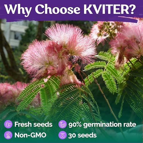 30 Mimosa Silk Tree Seeds (Albizia Julibrissin) – Pink Blooms, Drought Tolerant Flowering Trees, Attracts Pollinators – Great Both as Bonsai Tree Seeds for Indoor Garden & Outdoor Planting - Image 5