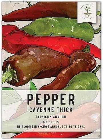 Seed Needs Thick Cayenne Pepper Seeds to Plant Vegetables - 1 Pack by SeedNeeds