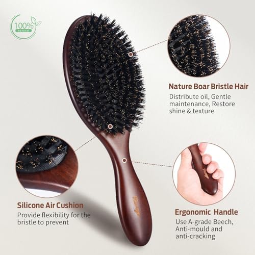 Hair Brush, Boar Bristle Hair Brush for Women Men Kids, Nature Bristles Hairbrush for Thin Fine All Hair Type, Restore Shine And Texture, Set Includes Cleaning Tool - Image 4