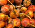 50+ Beet Seeds for Planting – Heirloom Non-GMO by Axel%27s+Garden+Seeds