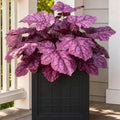 Artificial Fall Plants Fake Heuchera Greenery for Outdoor Porch Planters by KAFDY