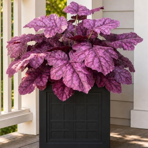 Artificial Fall Plants Fake Heuchera Greenery for Outdoor Porch Planters by KAFDY