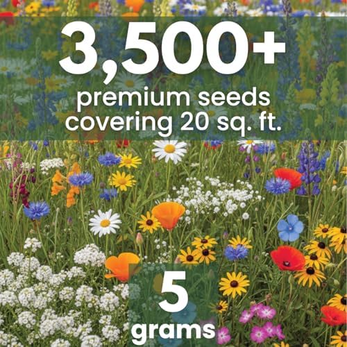 California Regional Mix – 3,500 Seeds for Planting – 2026 Season – 5 Gram Pouch - Image 2