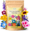 Partial Shade Wildflower Seed Mix, 37,000 Seeds, Covers 300 Sq Ft by CreatedByNature