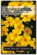 Sow Right Seeds - Dwarf Lance-Leaved Coreopsis Seed for Planting Perennial by SowRightSeeds
