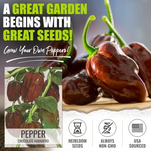 Seed Needs Chocolate Habanero Pepper Seeds to Plant Vegetables - 5 Packs - Image 2
