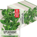 Seed Needs Spearmint Seeds to Plant an Herb Garden - 20 Packs by SeedNeeds