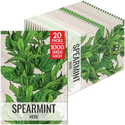 Seed Needs Spearmint Seeds to Plant an Herb Garden - 20 Packs by SeedNeeds