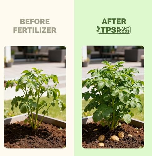 Potato Fertilizer – Liquid Plant Food for Vigorous, Healthy Growth, 8 oz - Image 3