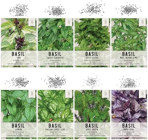 Seed Needs Basil Seeds Variety Pack of 8 Herbs for an Indoor Outdoor Garden - Image 2