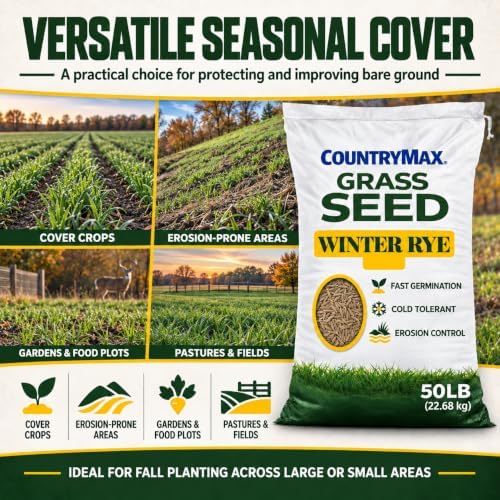 50LB Winter Rye Seed, Fast Growing Cover Crop - Image 4