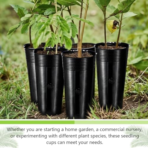 100 Pack Tall Tree Pot 11.8'' x 4.7'', Black Plastic Deep Nursery Pots, Soft Deep Seedling Pots for Seed Starting, Plant Starter Cups with Drainage Holes for Flowers, Cutting & Transplanting - Image 4