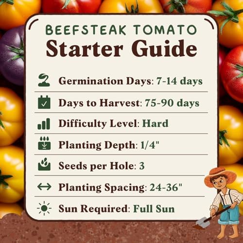 Organic Non-GMO Vegetable Seeds for Planting (Beefsteak Tomato) - Image 6