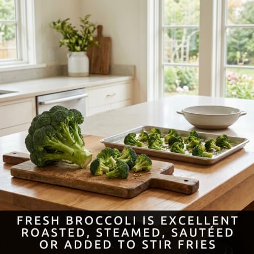 500 Waltham Broccoli Seeds | Heirloom Vegetable Seeds for Planting - Image 5