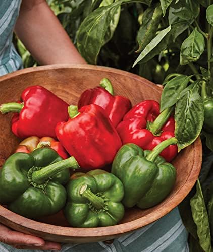Burpee California Wonder Sweet Pepper Seeds | 300 Non-GMO Heirloom Pepper Seeds for Home Garden | Large Red Bell Peppers & Green Bell Peppers for Stuffing | Seeds for Planting - Image 5