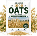 1000 Oat Seeds for Planting | Avena Sativa Grain Cover Crop Seeds by CZGrain