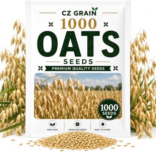 1000 Oat Seeds for Planting | Avena Sativa Grain Cover Crop Seeds by CZGrain