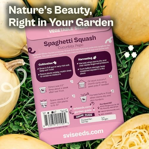 SVI 35 Winter Spaghetti Squash Seeds (Cucurbita Pepo) – Yellow Winter Squash Spaghetti Seed Packets, Long Storage – Heirloom Vegetable Seeds for Outdoor Vegetable Garden, Raised Beds, Peat Pots - Image 2